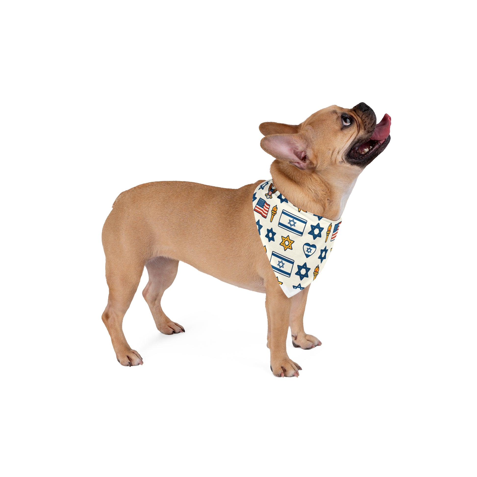Israel Symbols Seamless Pet Bandana - American Zionist