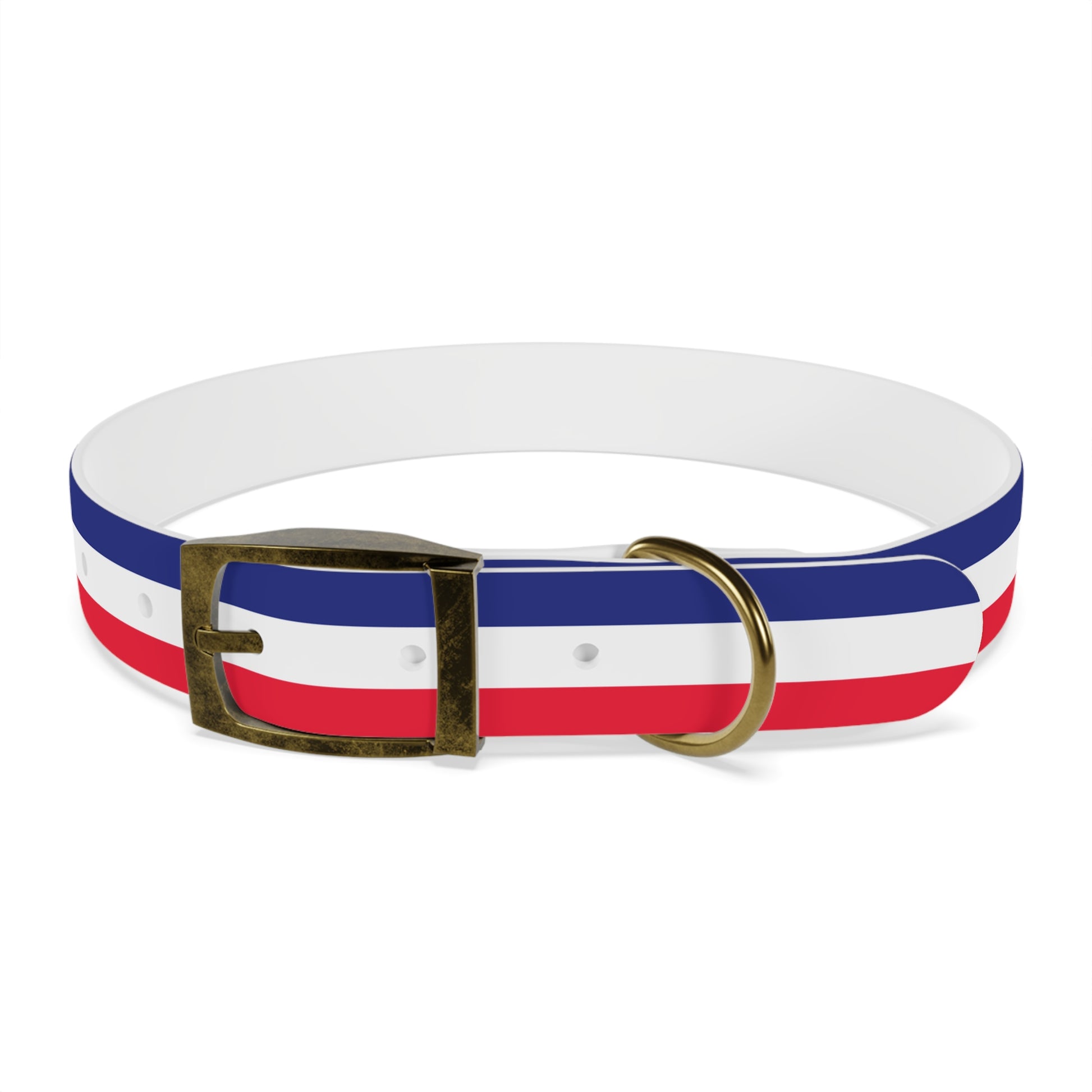 Unity in Formation Dog Collar - American Zionist