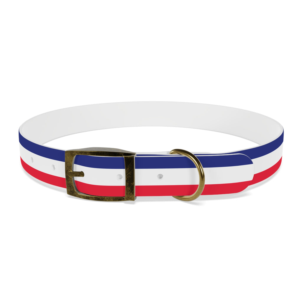 Unity in Formation Dog Collar - American Zionist