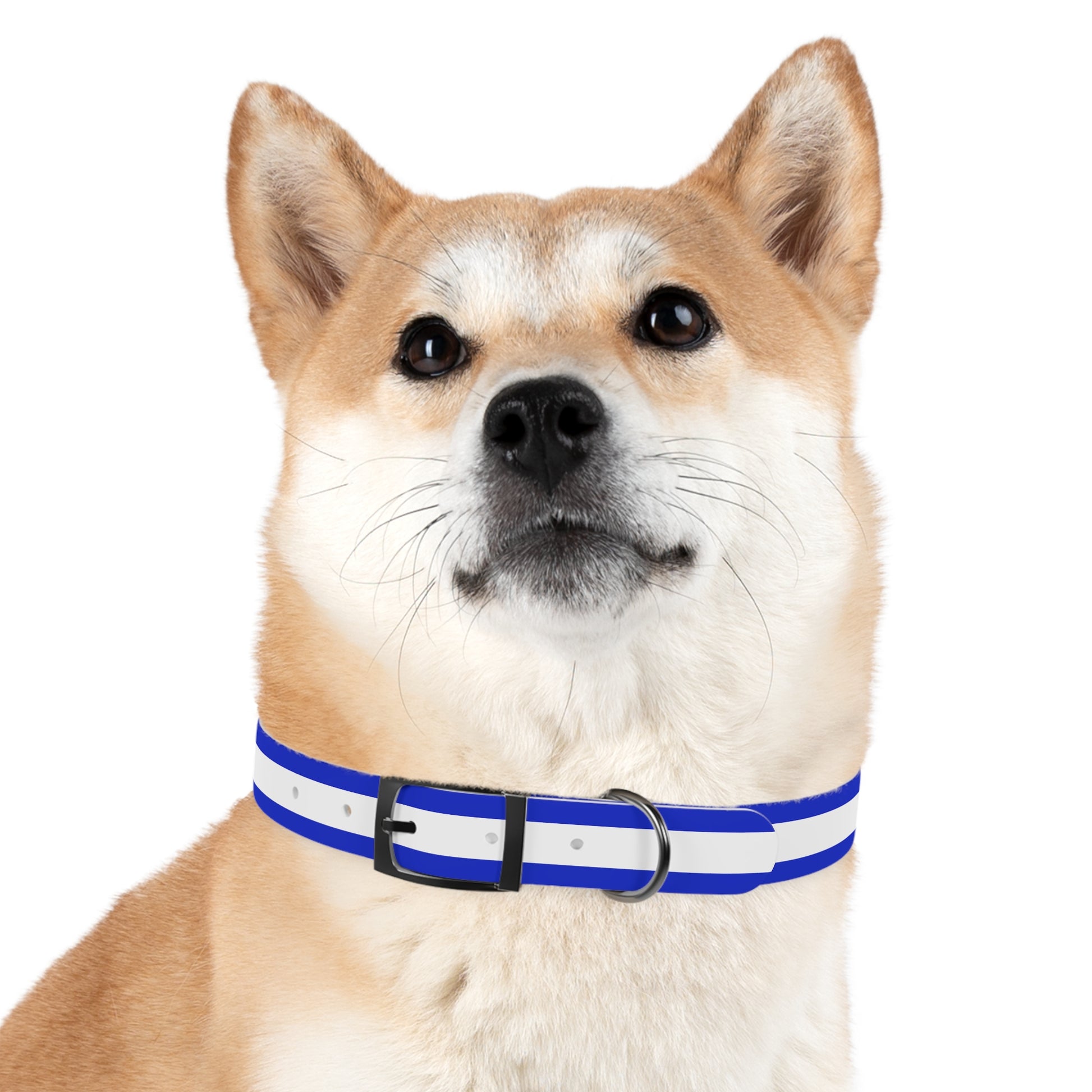 Bold Stripes Dog Collar - American Zionist