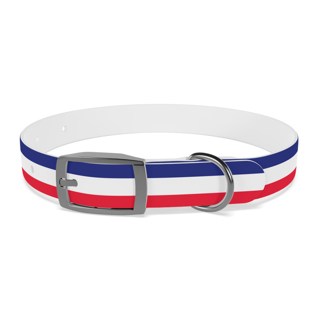 Unity in Formation Dog Collar - American Zionist
