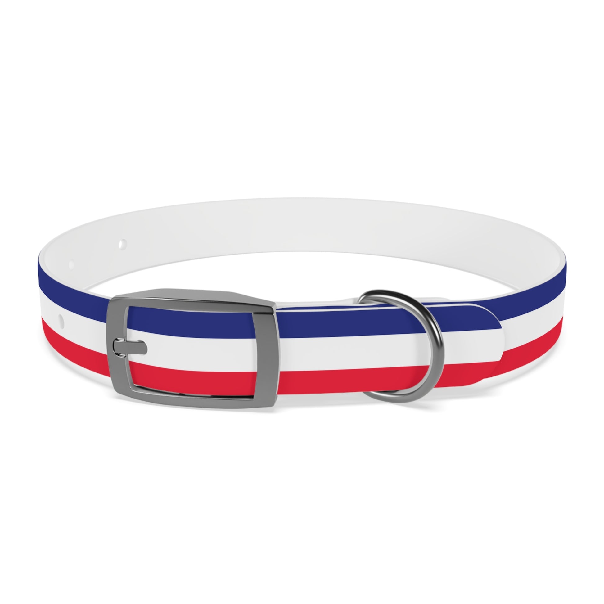 Unity in Formation Dog Collar - American Zionist