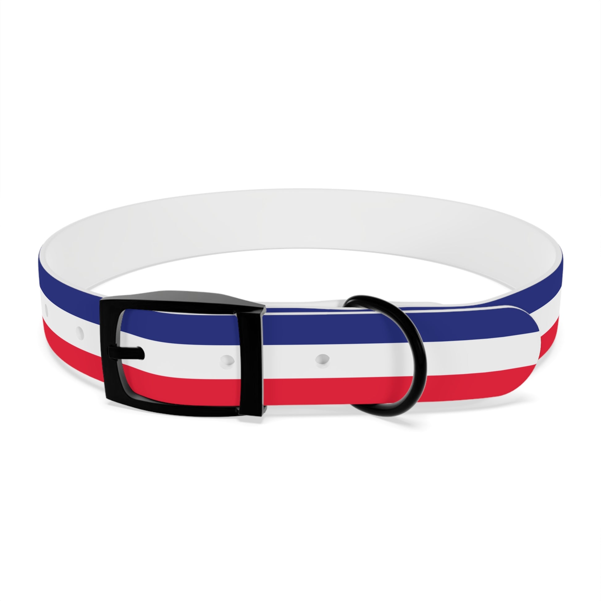 Unity in Formation Dog Collar - American Zionist