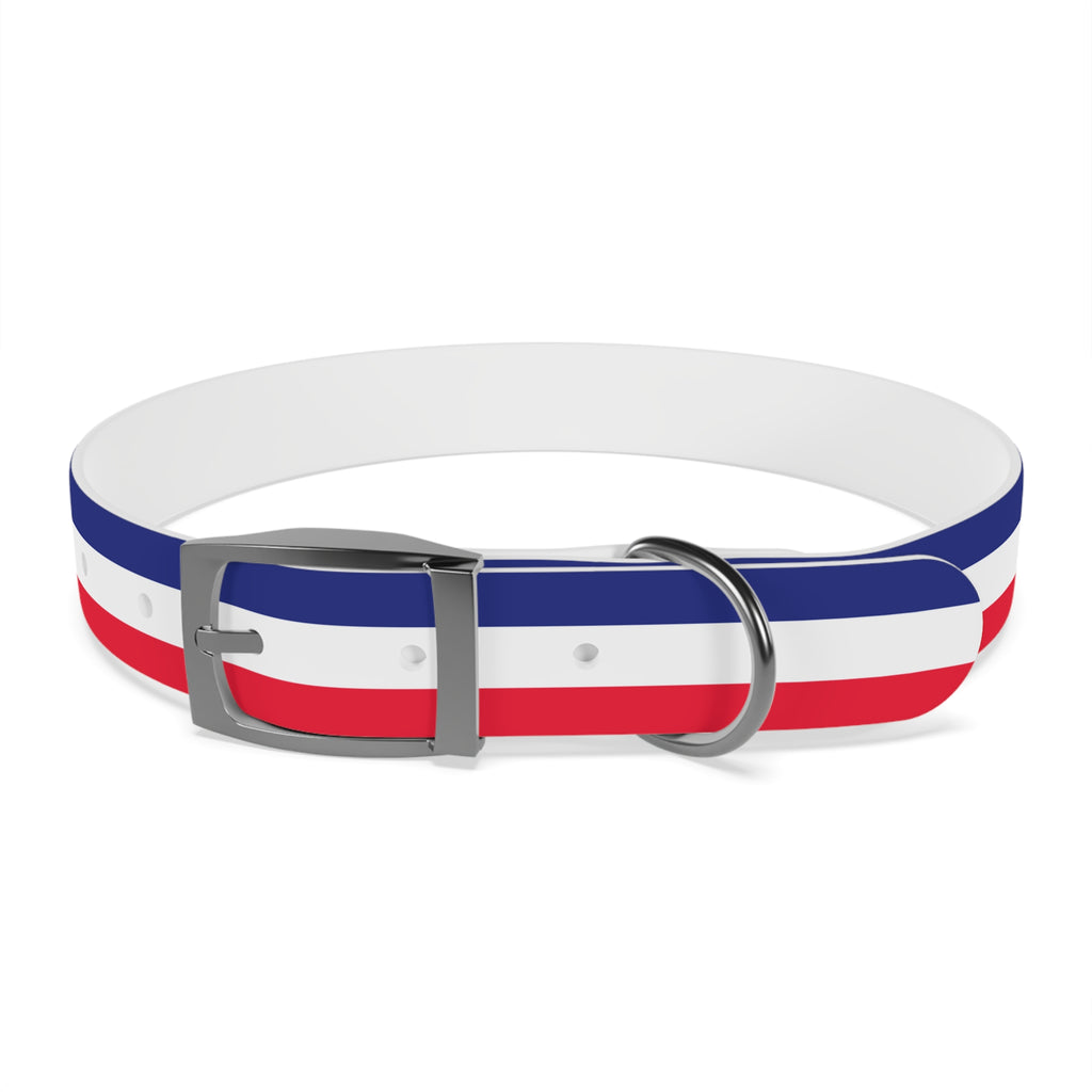 Unity in Formation Dog Collar - American Zionist