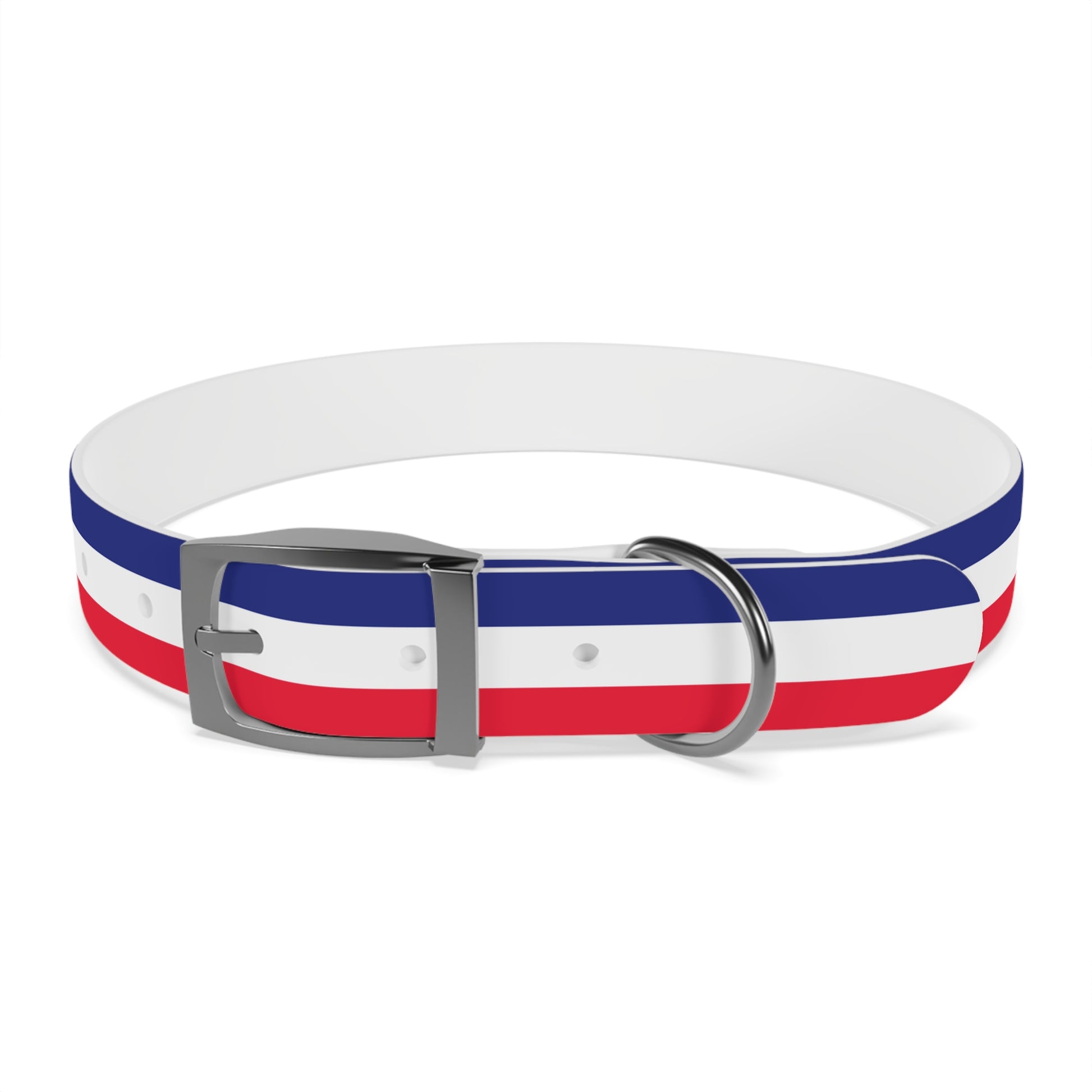 Unity in Formation Dog Collar - American Zionist