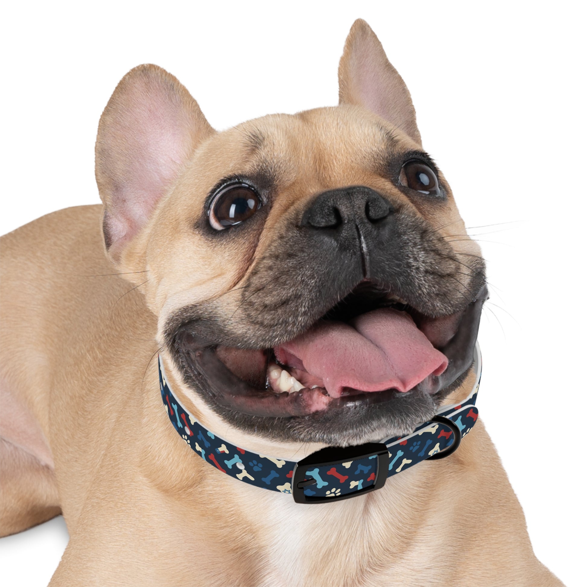 Seamless Bone Dog Collar - American Zionist