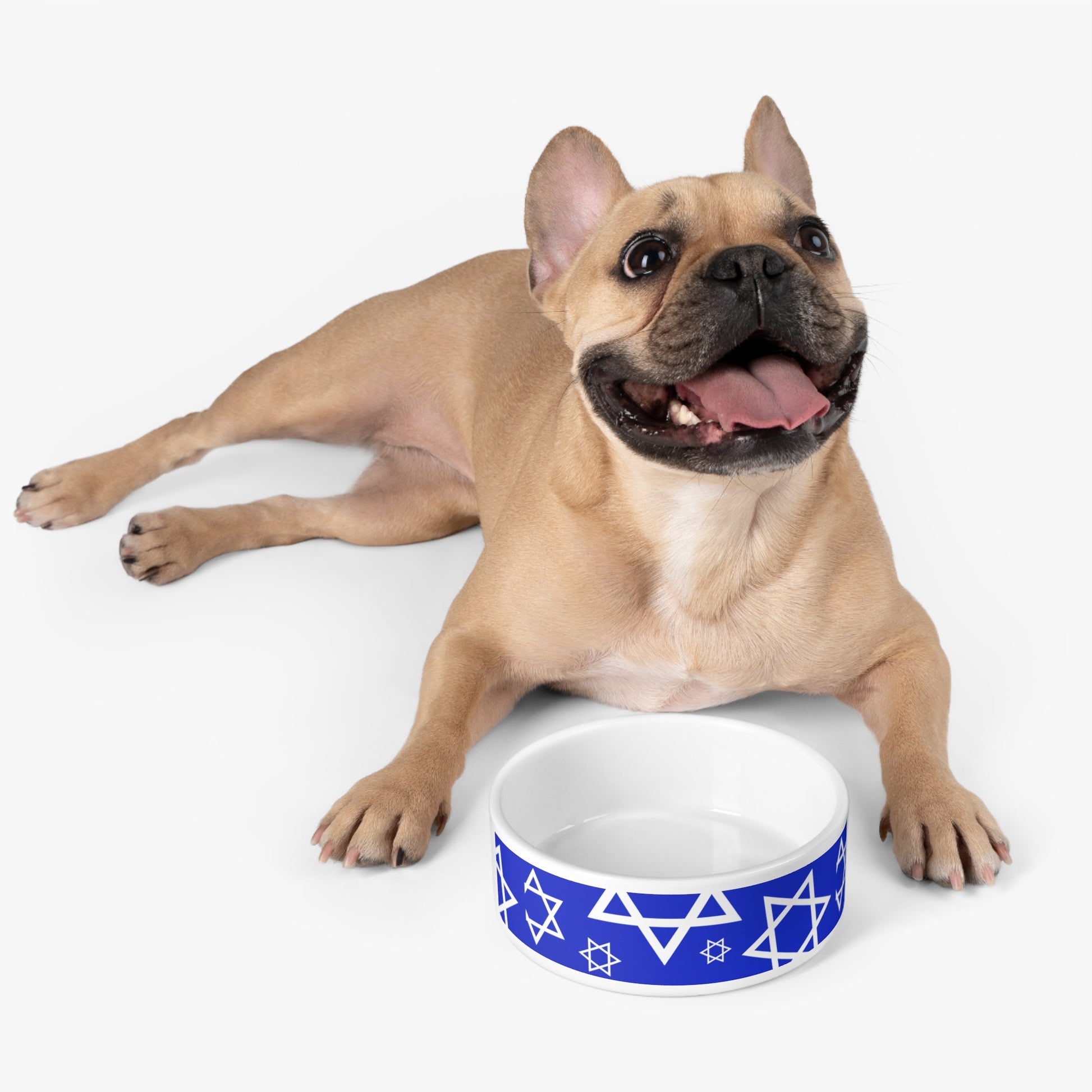 Stars of Unity Dog Pet Bowl 16oz - American Zionist