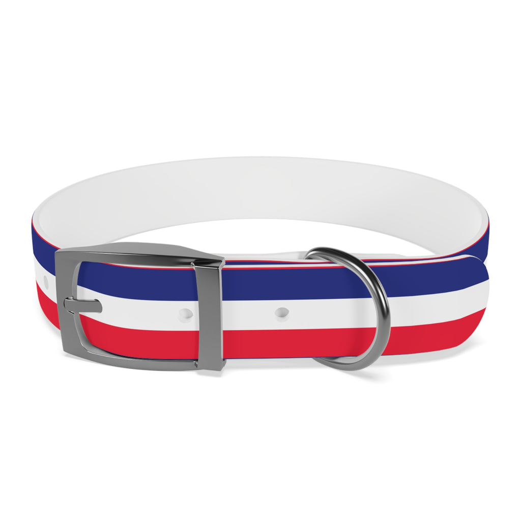 Unity in Formation Dog Collar - American Zionist