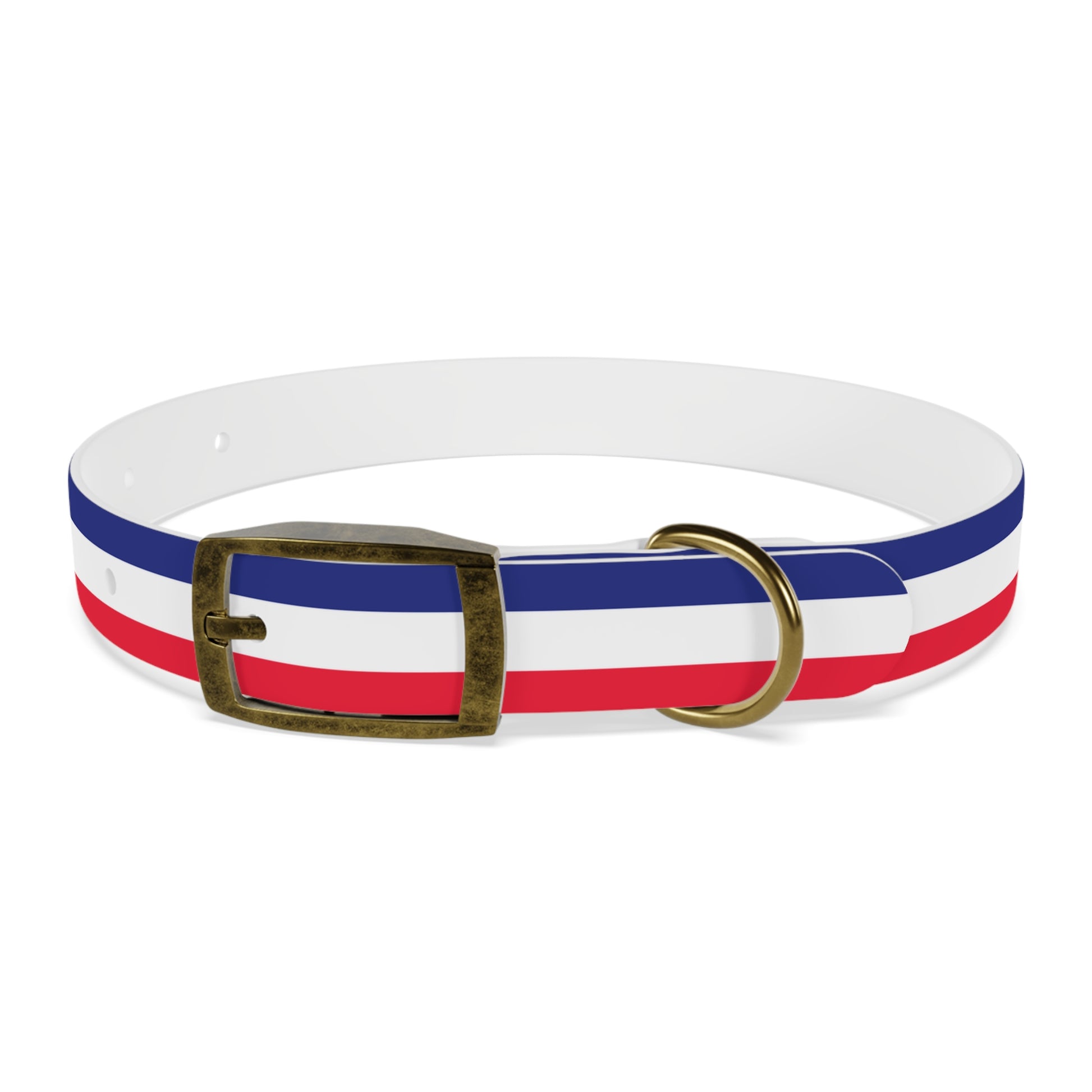 Unity in Formation Dog Collar - American Zionist