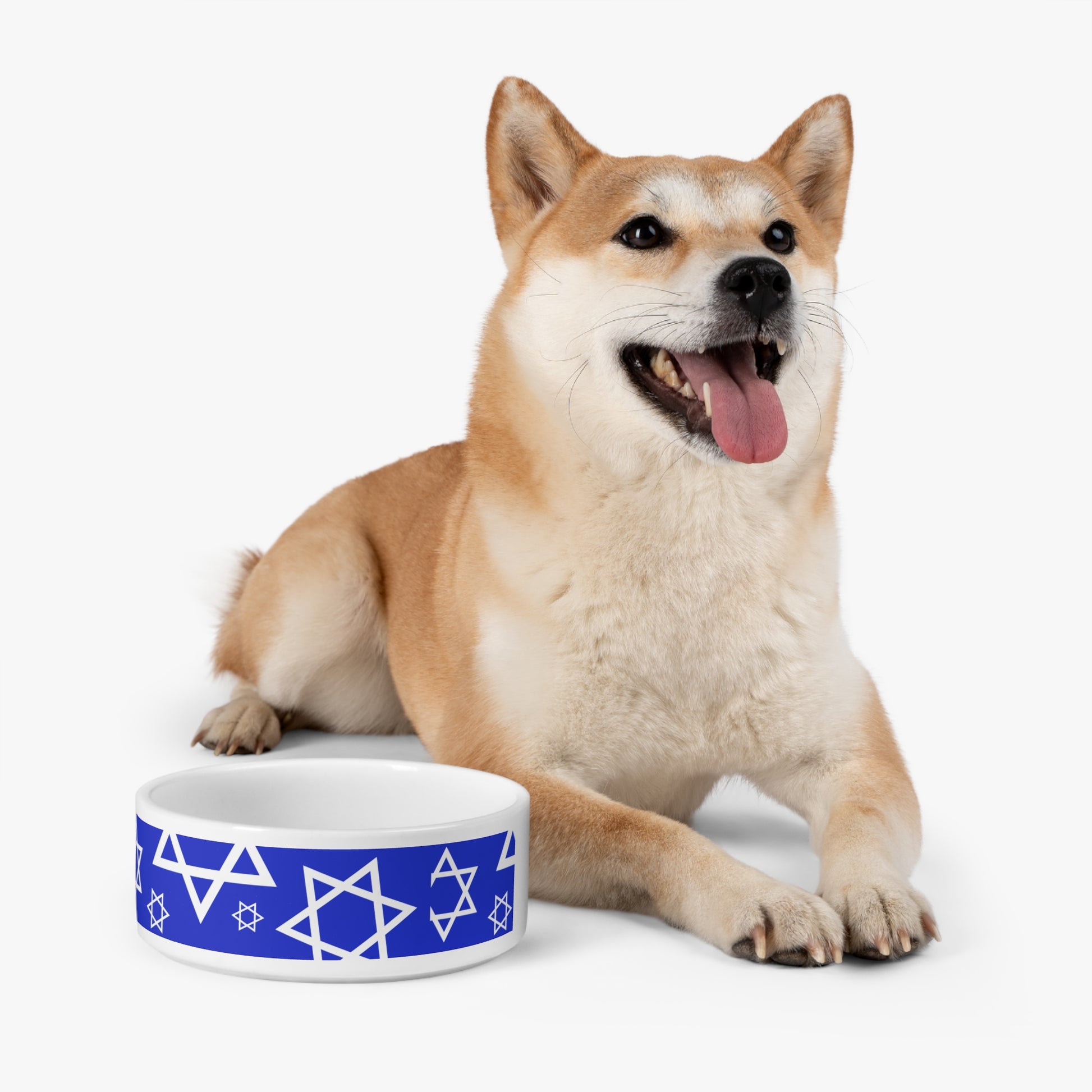 Stars of Unity Dog Pet Bowl 16oz - American Zionist