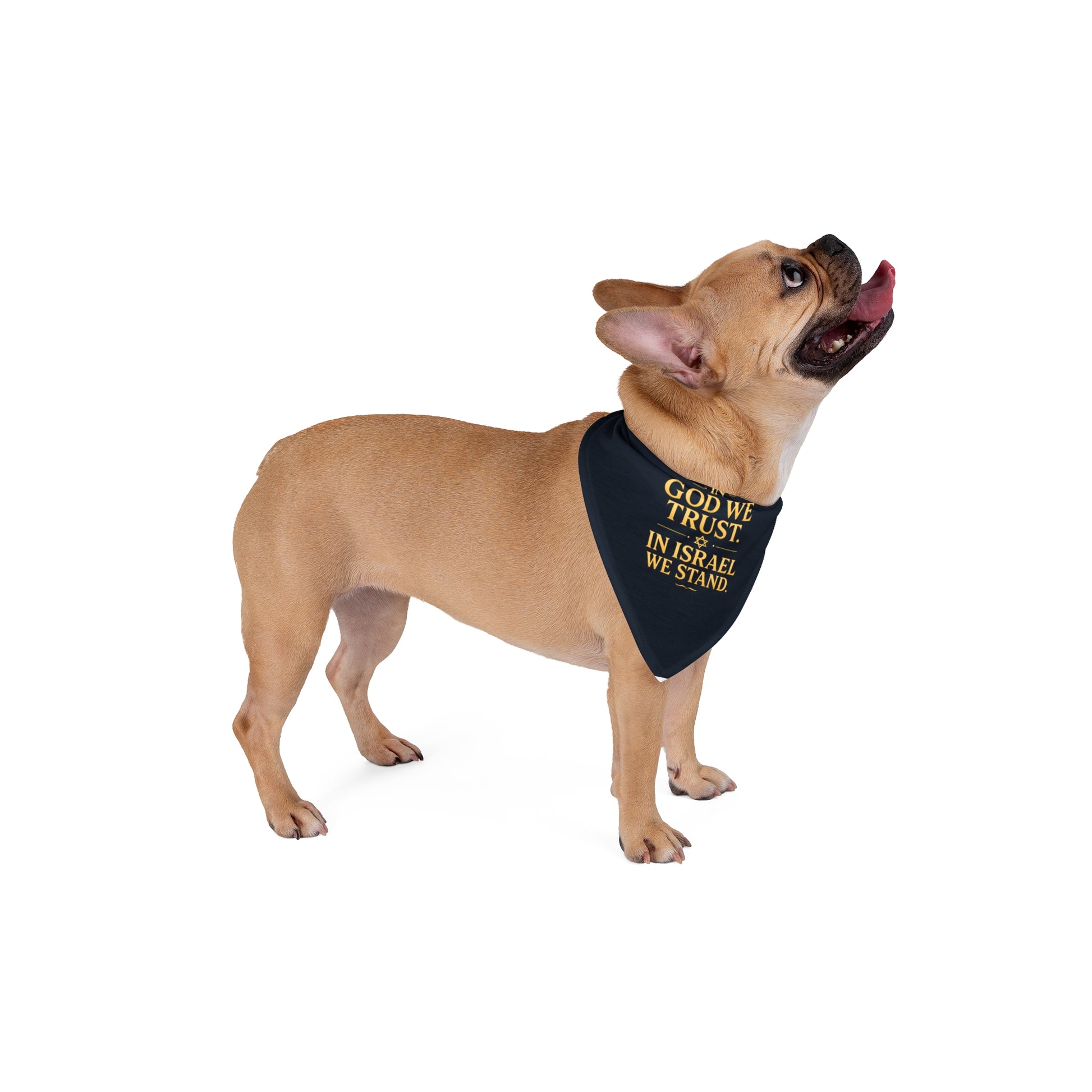 In God We Trust, In Israel We Stand with Stars Pet Bandana - American Zionist