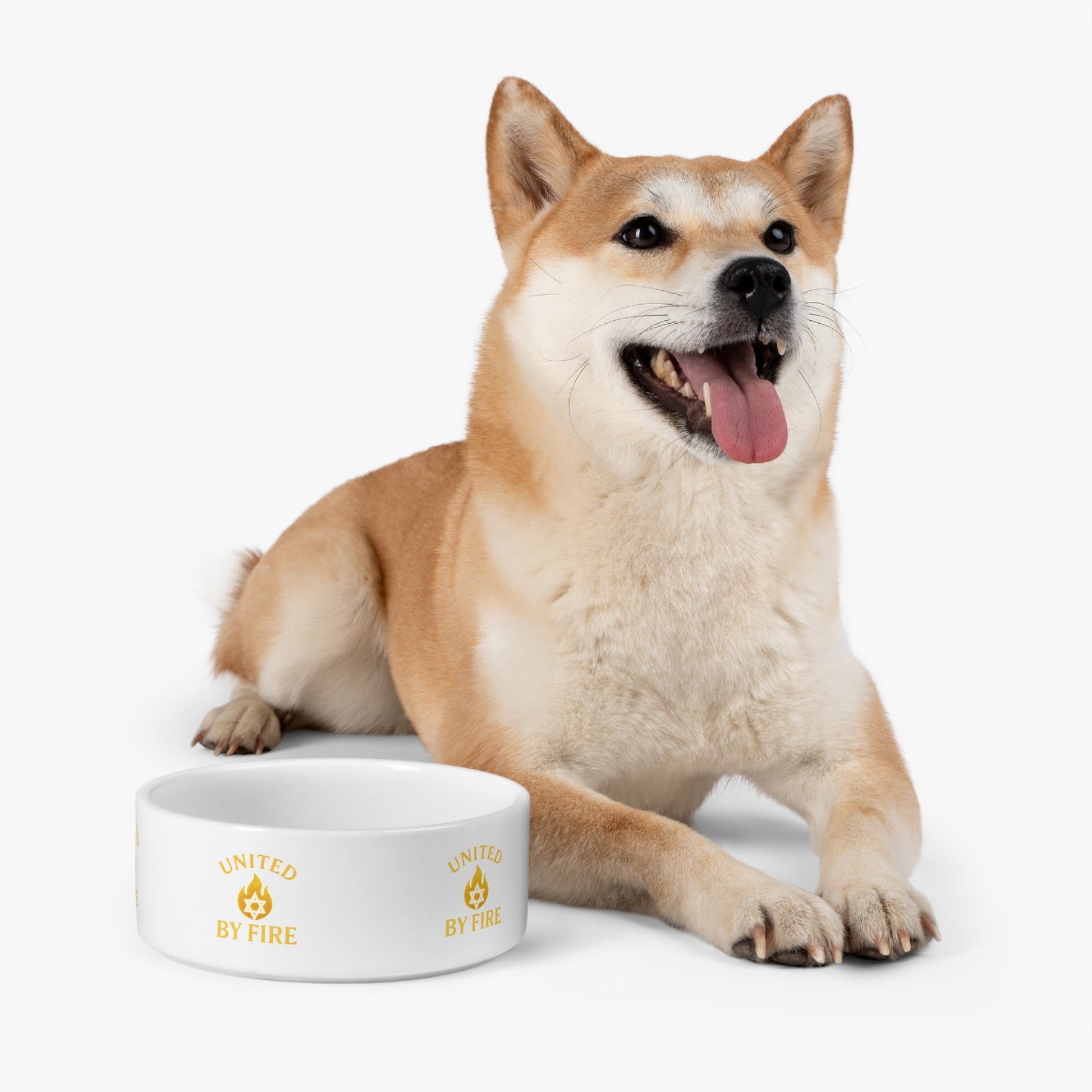 United by Fire Pet Bowl 16oz - American Zionist