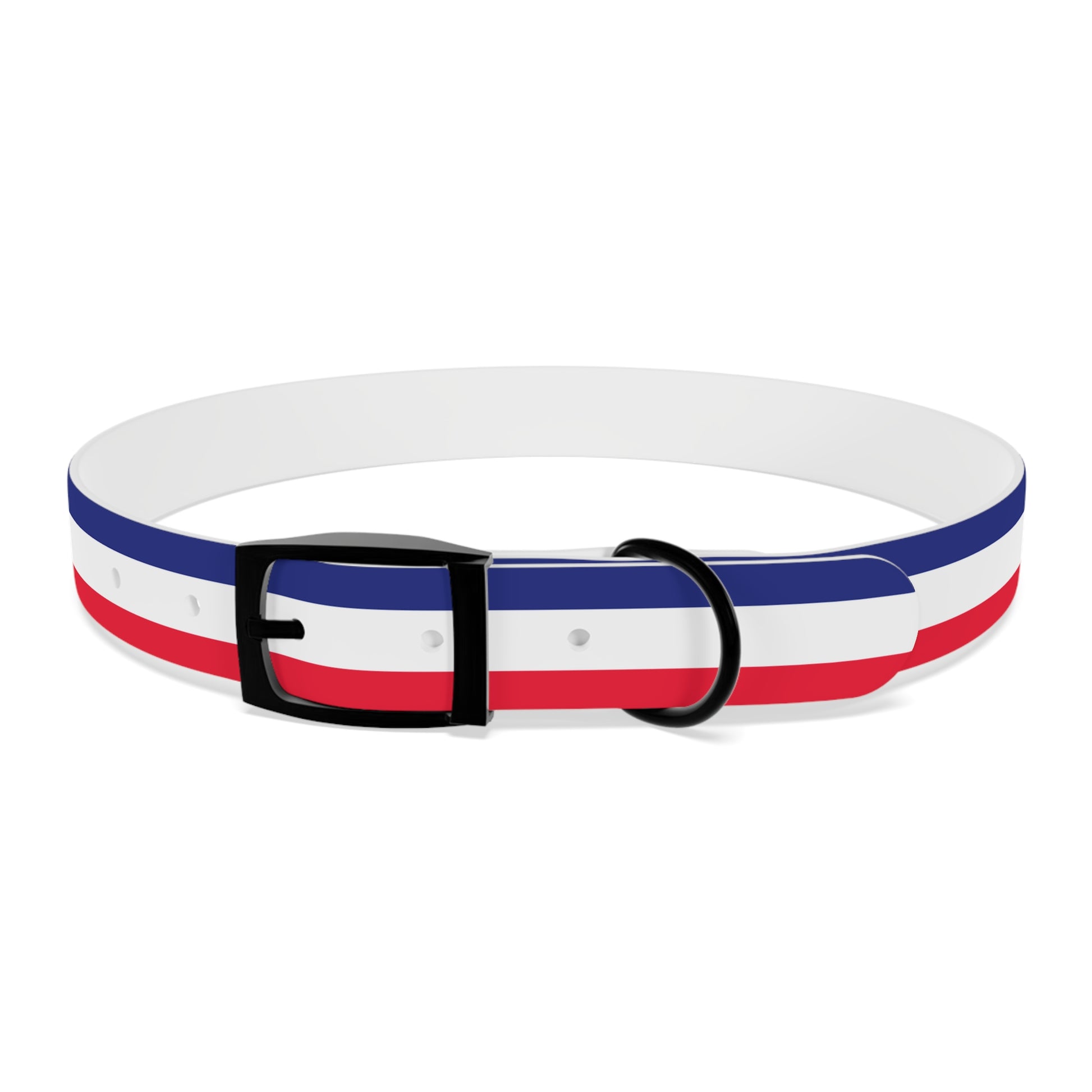 Unity in Formation Dog Collar - American Zionist