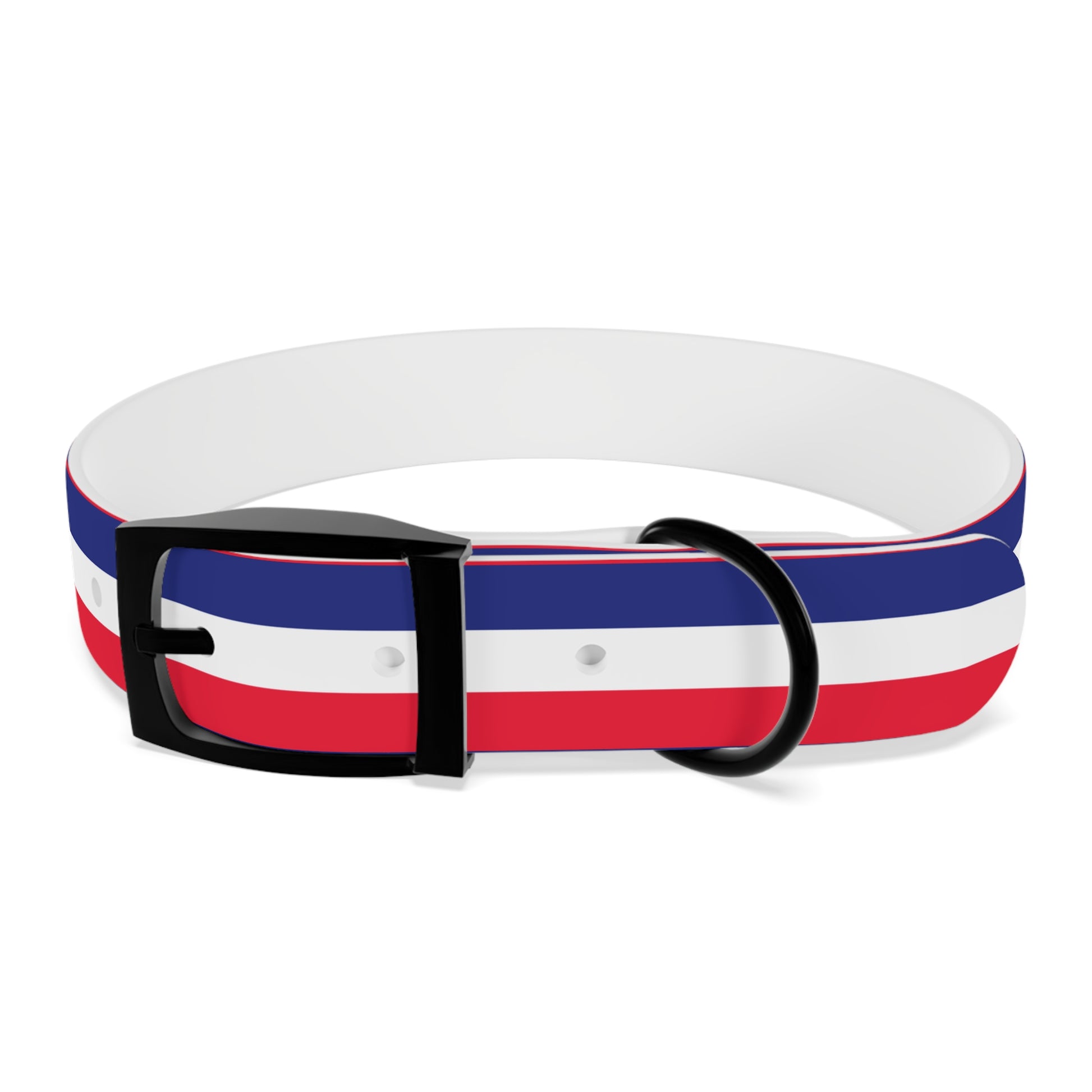 Unity in Formation Dog Collar - American Zionist