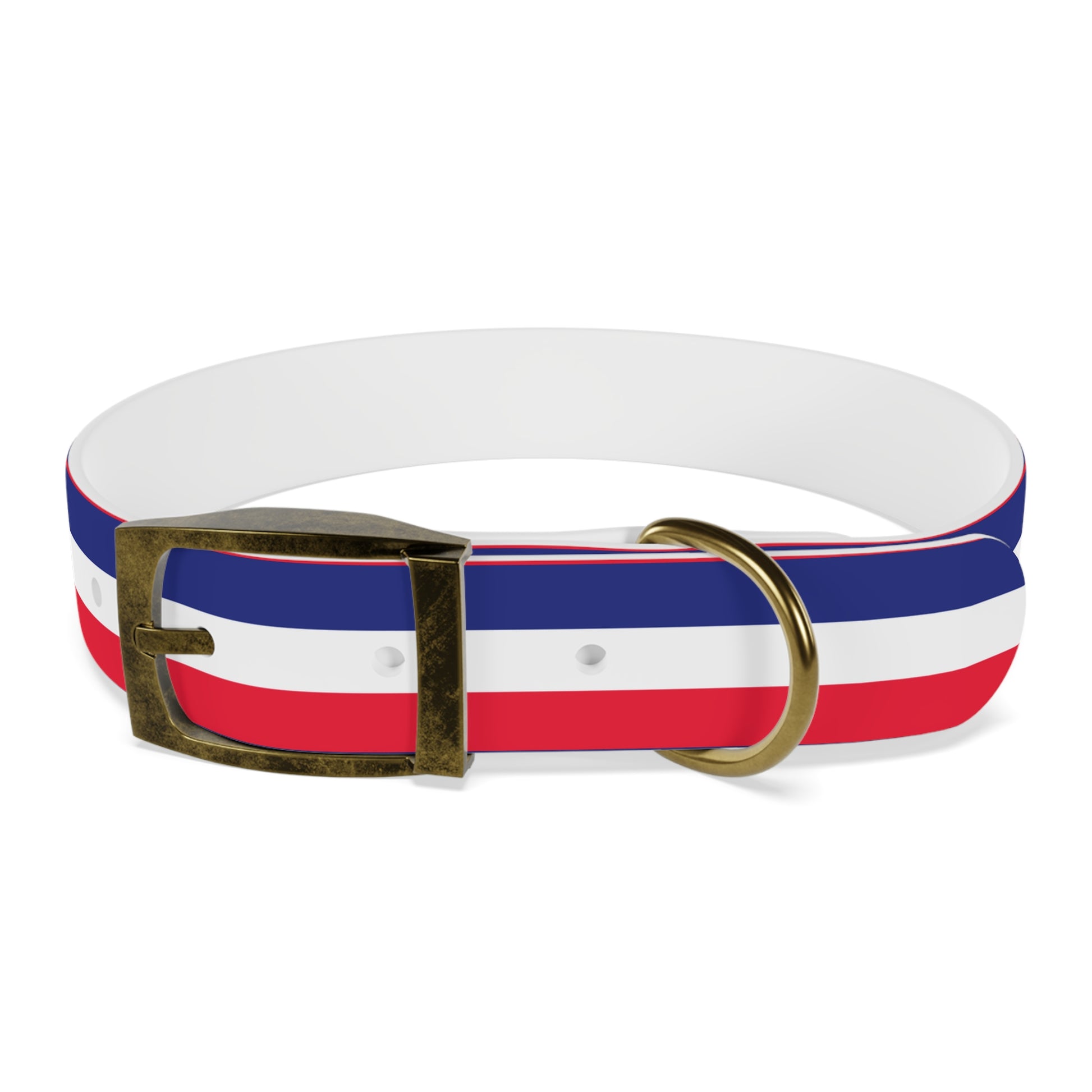 Unity in Formation Dog Collar - American Zionist