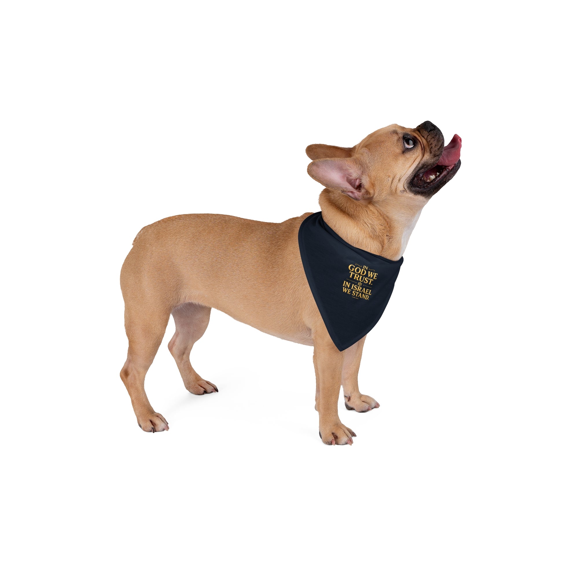 In God With Israel Pet Bandana - American Zionist