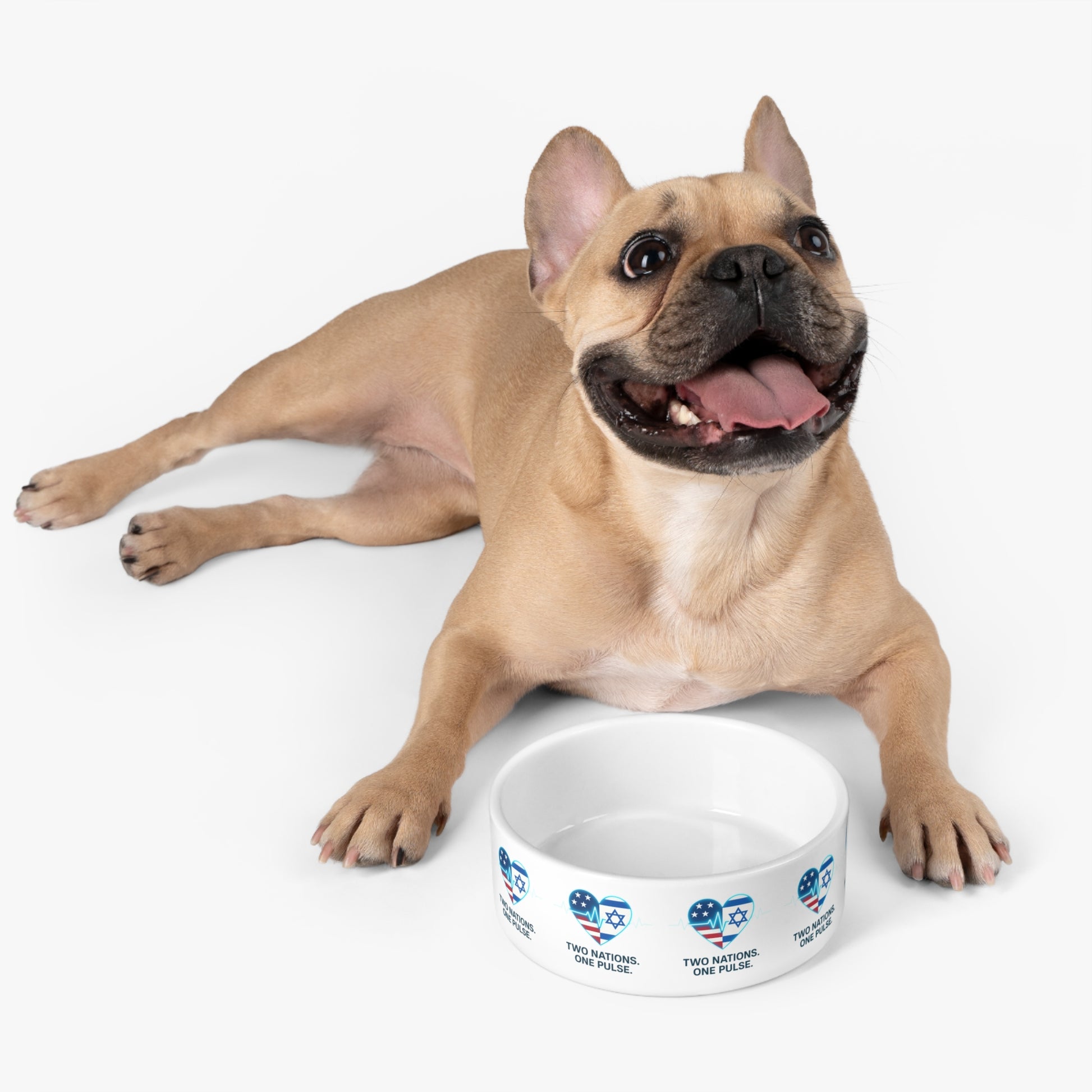 Two Nations. One Pulse Pet Bowl 16oz - American Zionist