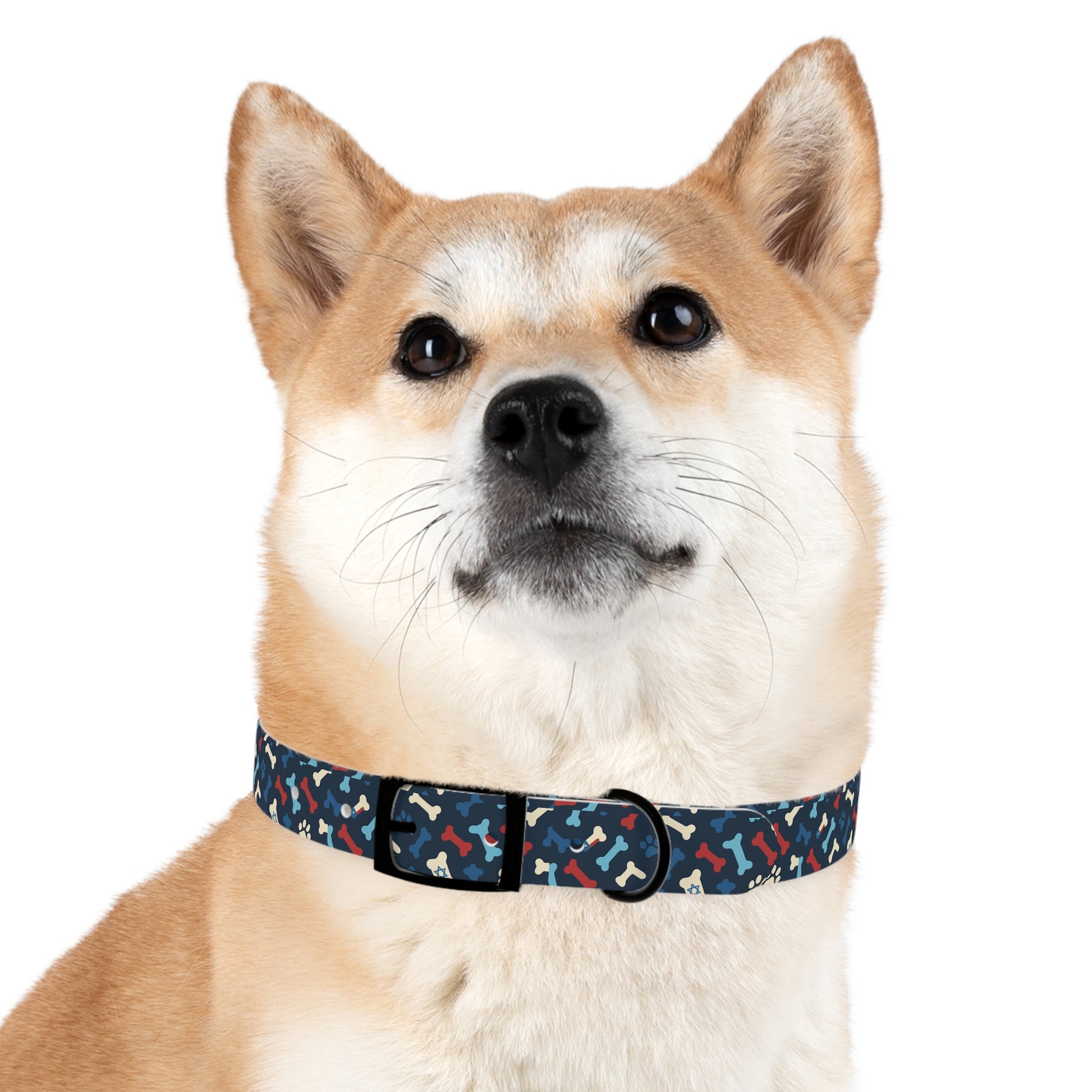 Seamless Bone Dog Collar - American Zionist