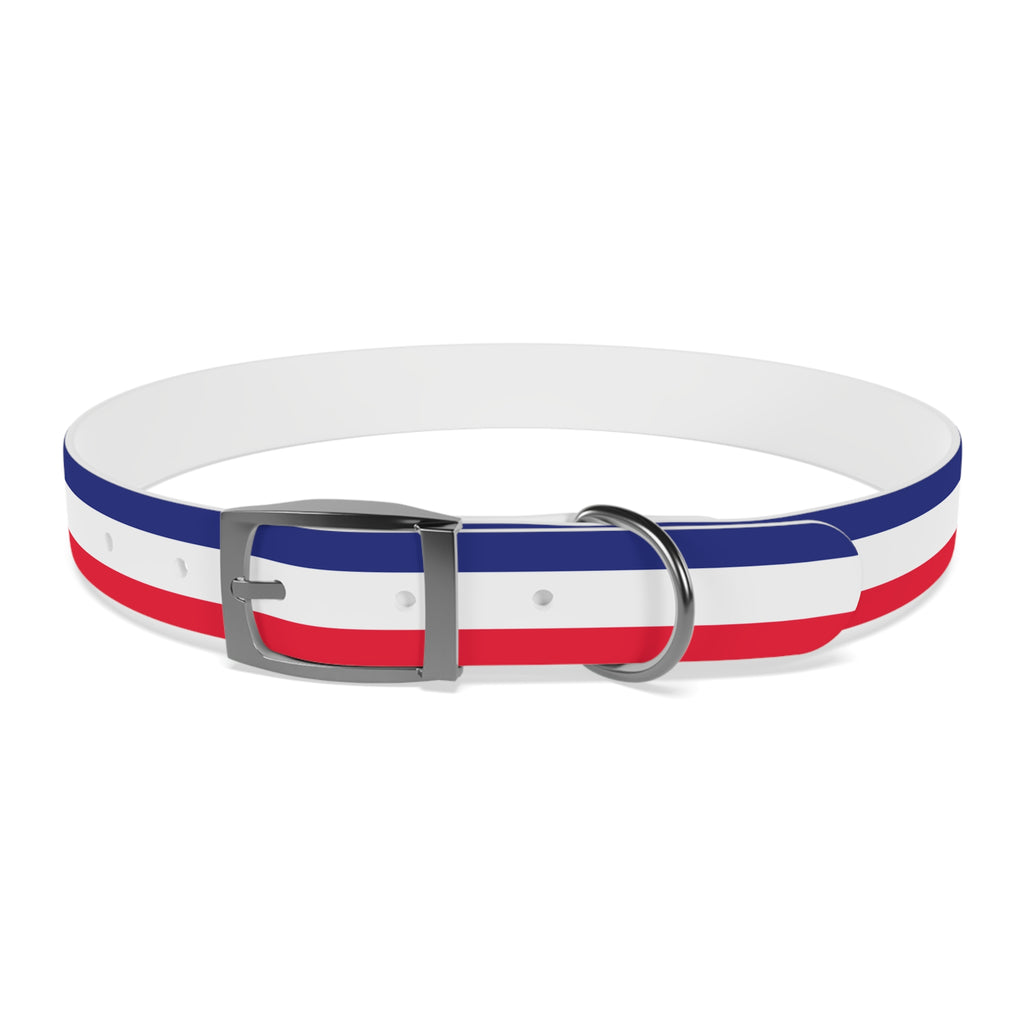 Unity in Formation Dog Collar - American Zionist