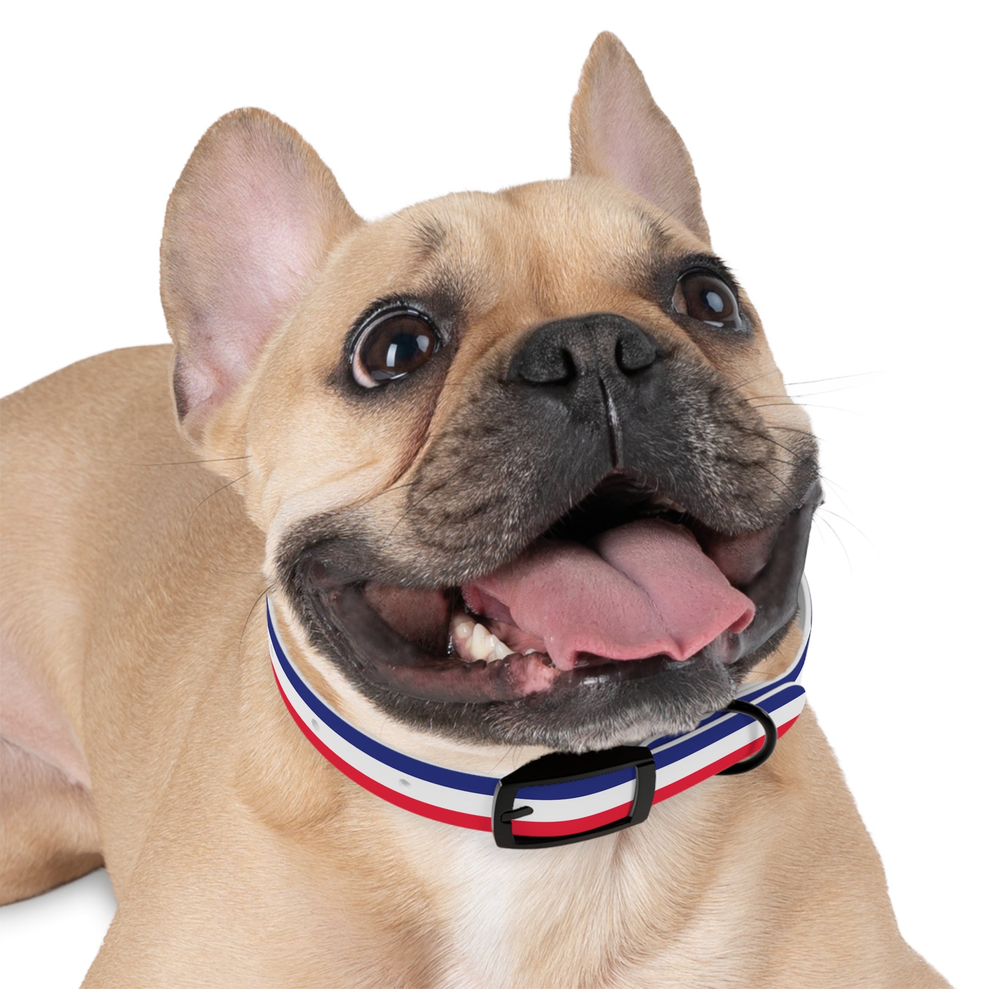 Unity in Formation Dog Collar - American Zionist