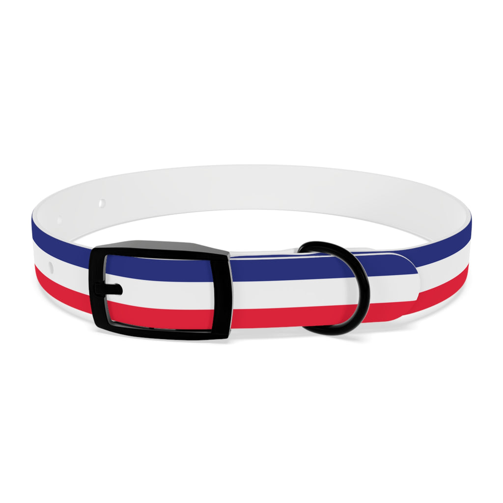 Unity in Formation Dog Collar - American Zionist