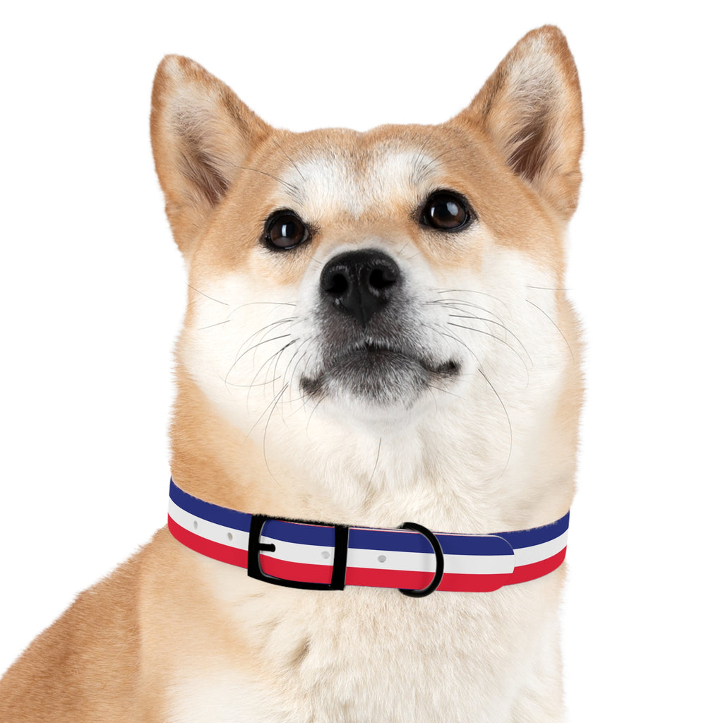 Unity in Formation Dog Collar - American Zionist