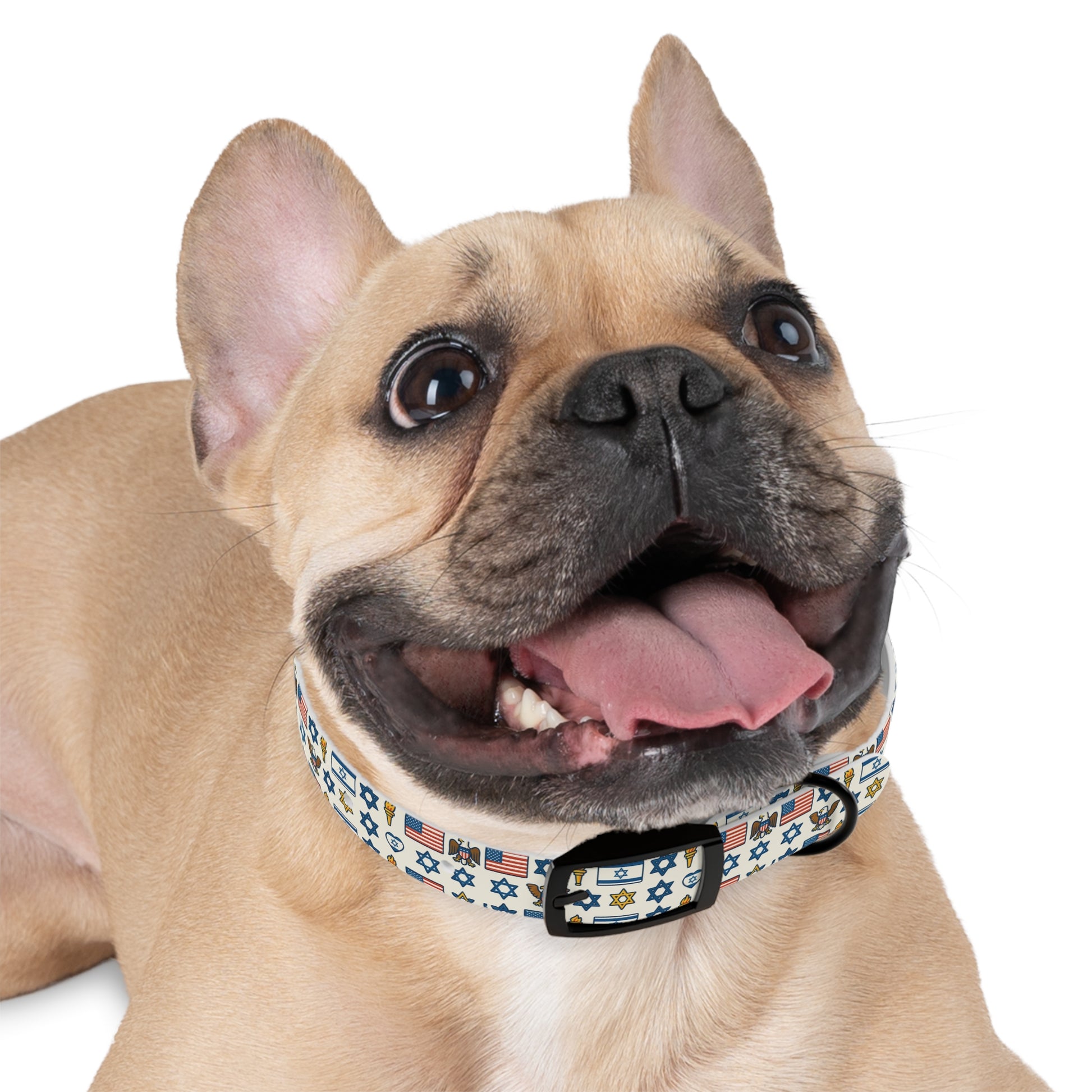 Symbols of Shared Freedom Dog Collar - American Zionist