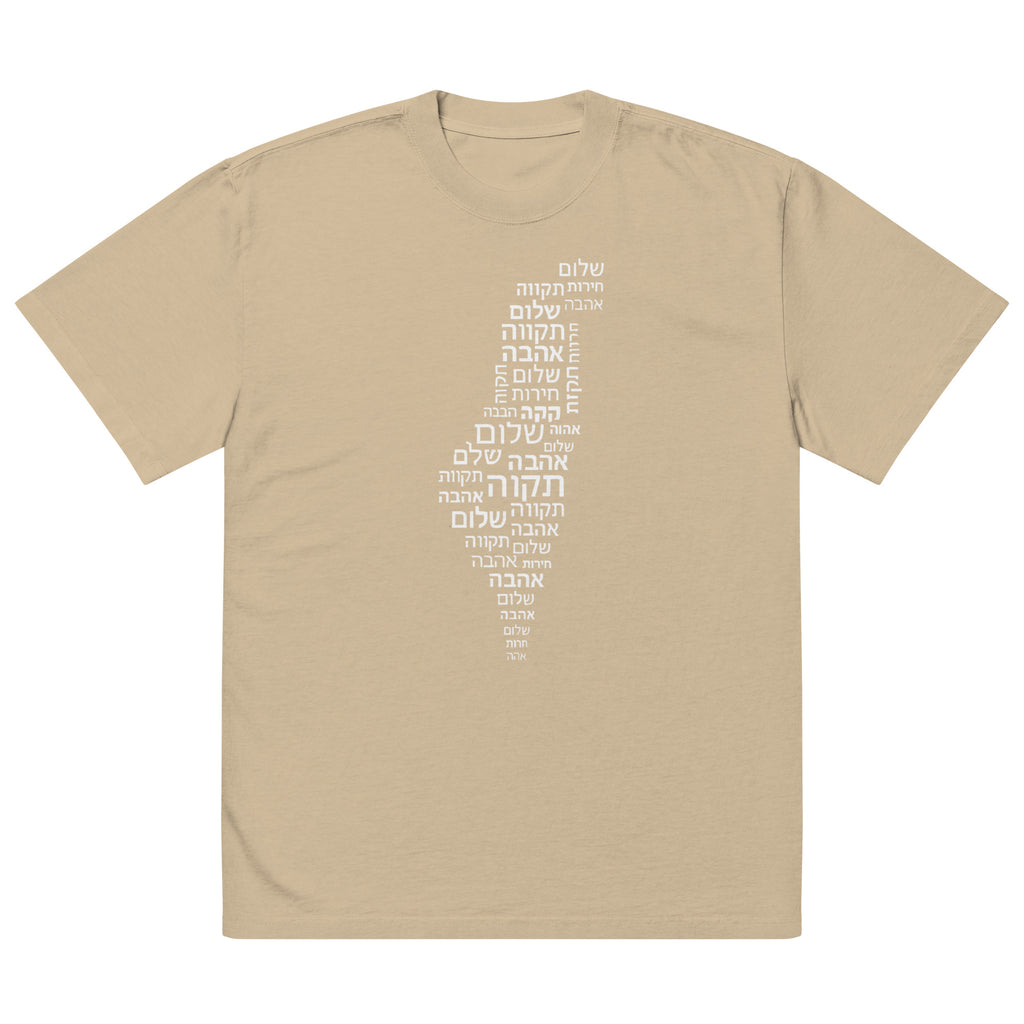 Hebrew Letters Oversized Faded T-Shirt - American Zionist