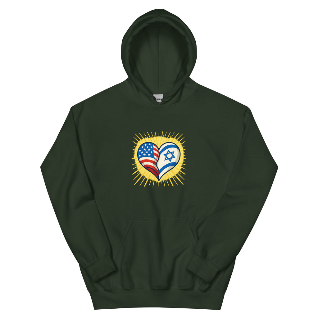 America & Israel Unisex Heavy Blend Hoodie - American Zionist