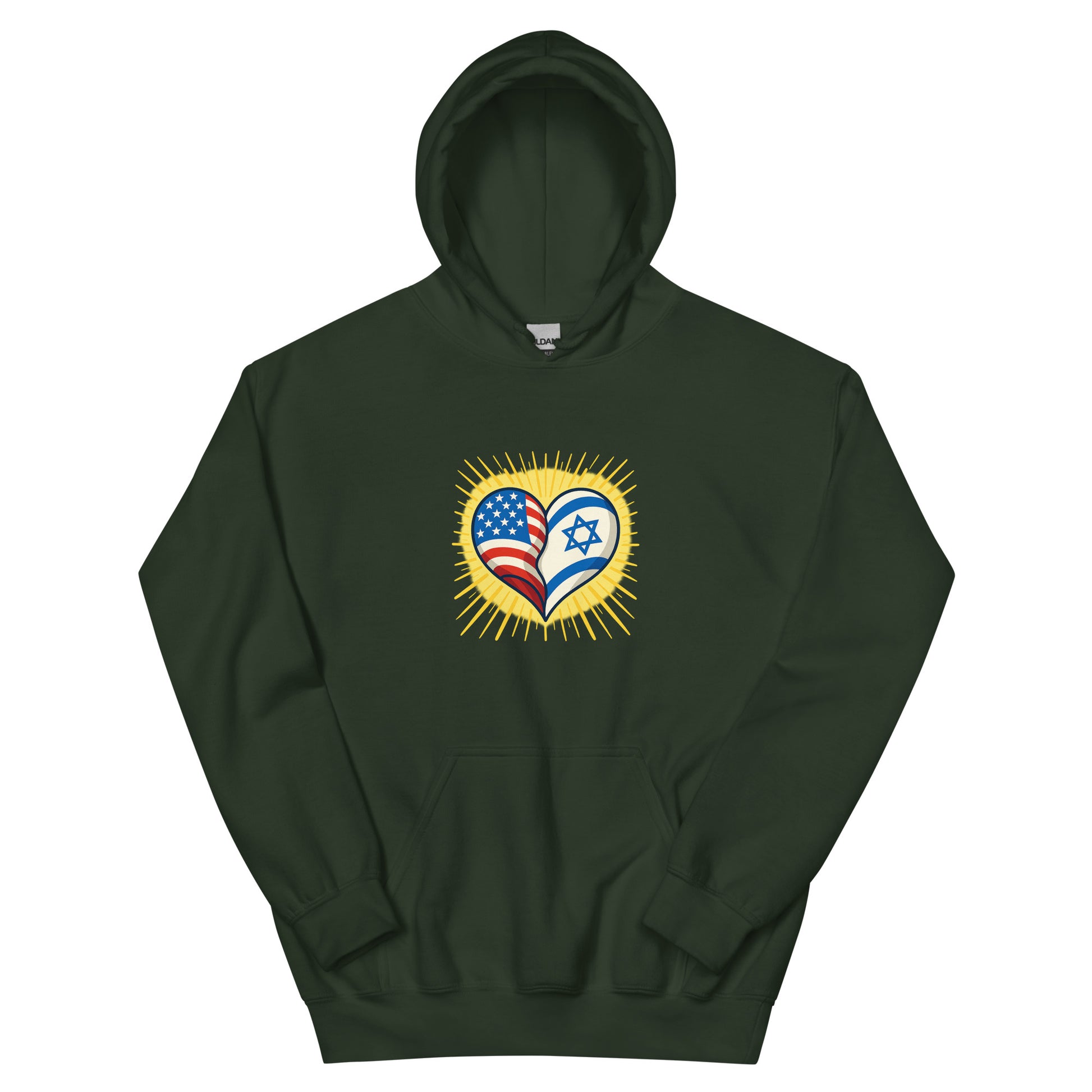 America & Israel Unisex Heavy Blend Hoodie - American Zionist