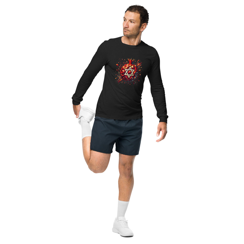 Pomegranate Star of David Unisex Long Sleeve Tee - American Zionist