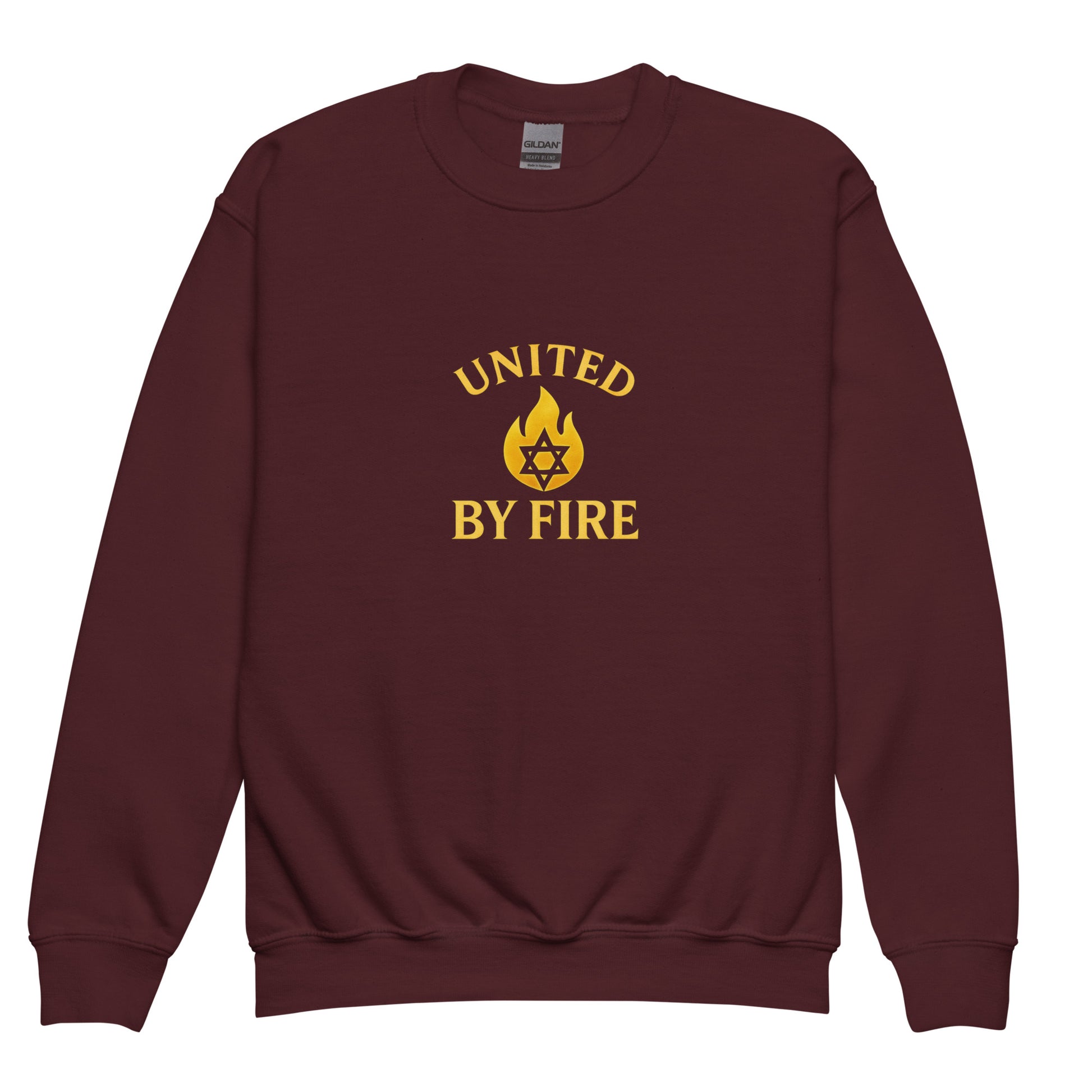 United - by - Fire Youth Crew Neck Sweatshirt - American Zionist