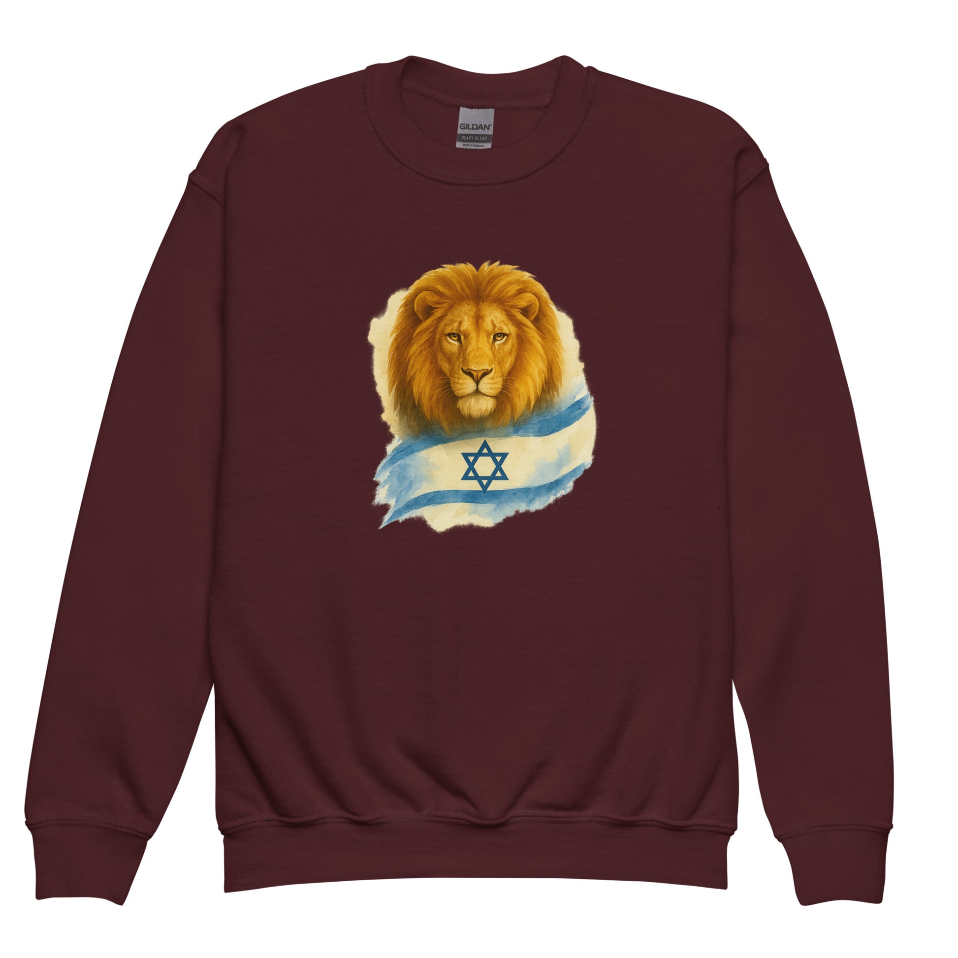 Lion Of Israel Youth Crew Neck Sweatshirt - American Zionist