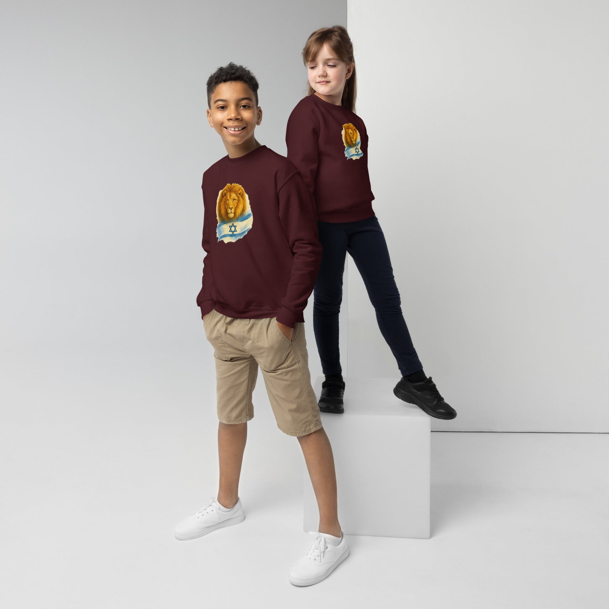 Lion Of Israel Youth Crew Neck Sweatshirt - American Zionist