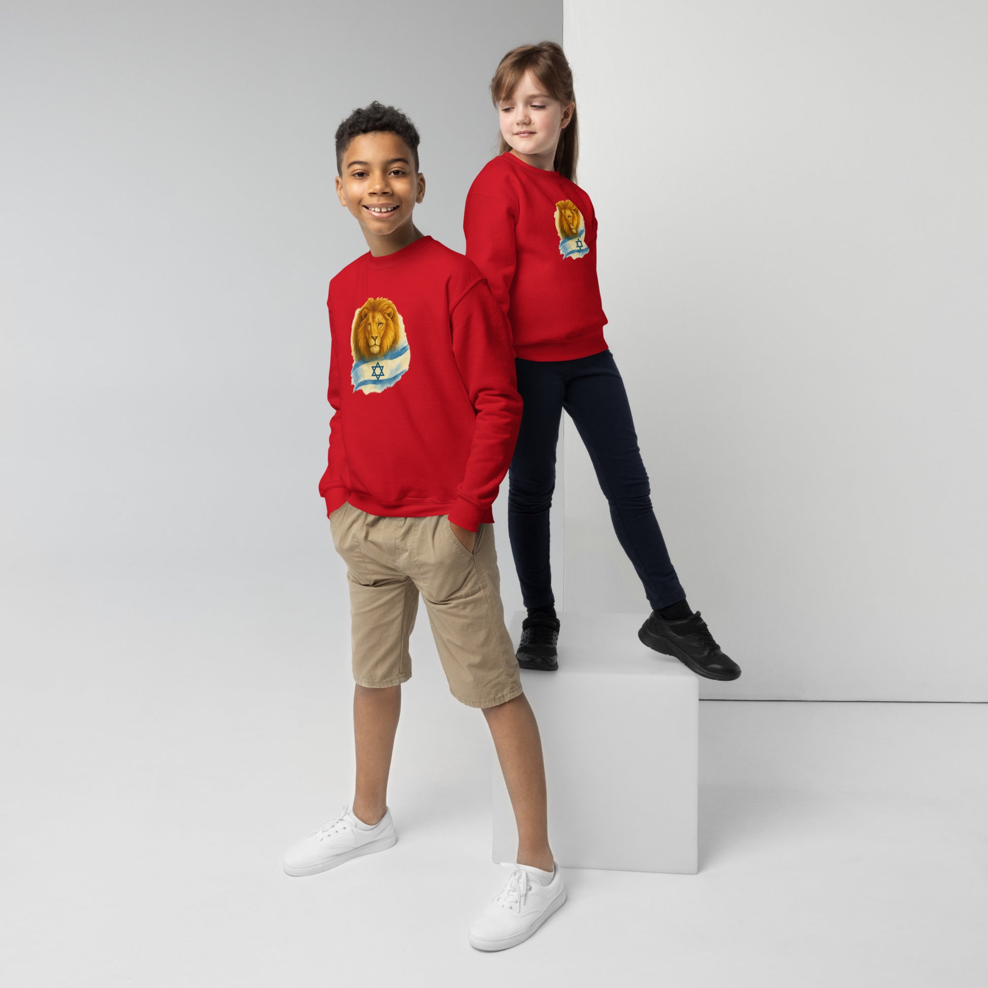Lion Of Israel Youth Crew Neck Sweatshirt - American Zionist