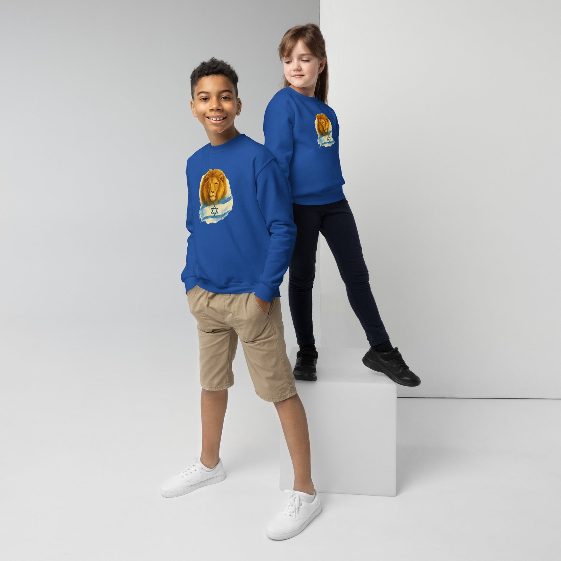 Lion Of Israel Youth Crew Neck Sweatshirt - American Zionist