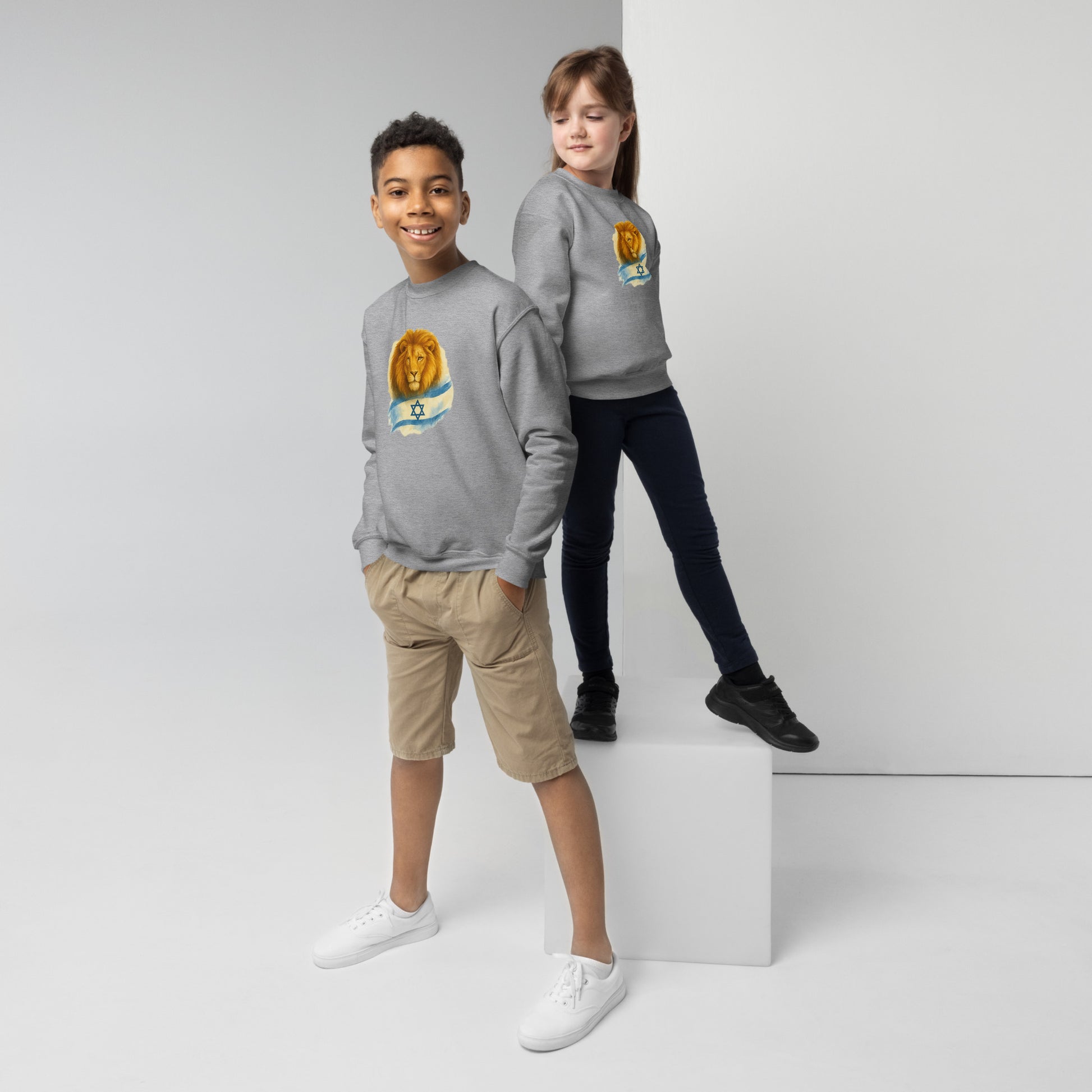 Lion Of Israel Youth Crew Neck Sweatshirt - American Zionist