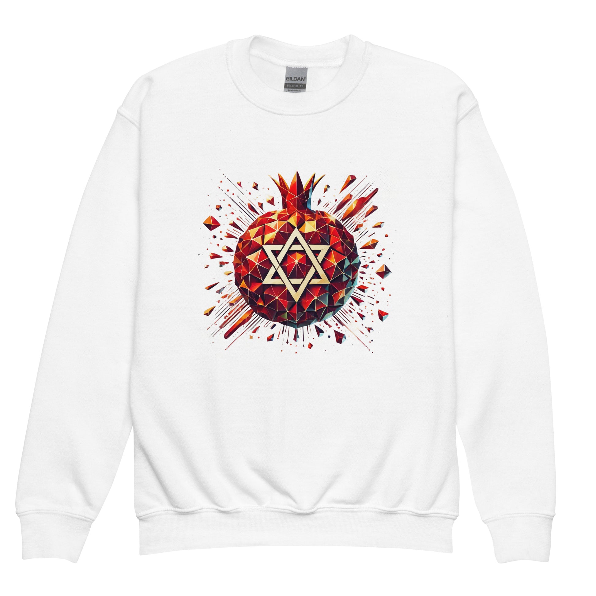 Pomegranate Star of David Youth Crew Neck Sweatshirt - American Zionist
